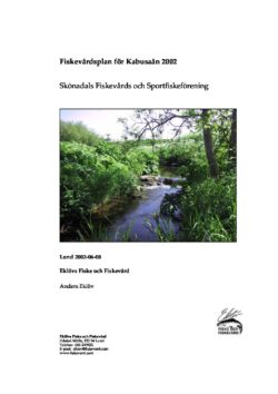 Fiskevårdsplan för Kabusaån 2002